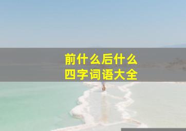 前什么后什么四字词语大全