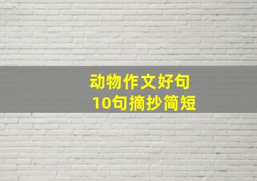 动物作文好句10句摘抄简短