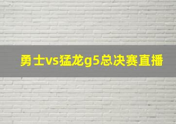 勇士vs猛龙g5总决赛直播