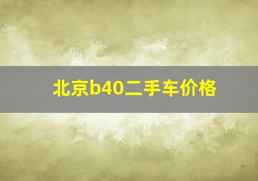 北京b40二手车价格