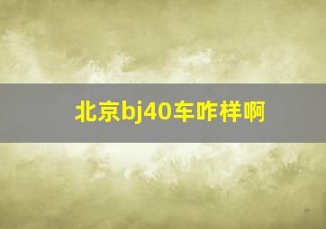 北京bj40车咋样啊