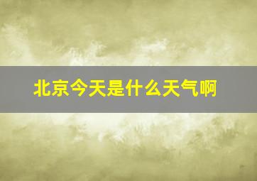 北京今天是什么天气啊