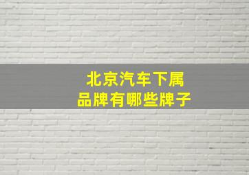 北京汽车下属品牌有哪些牌子