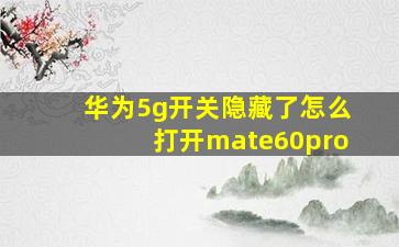 华为5g开关隐藏了怎么打开mate60pro