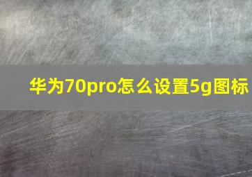 华为70pro怎么设置5g图标