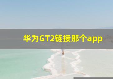 华为GT2链接那个app