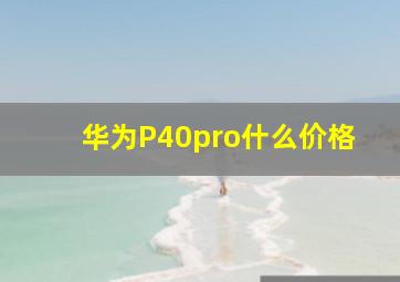 华为P40pro什么价格