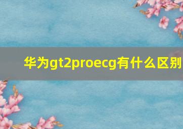 华为gt2proecg有什么区别