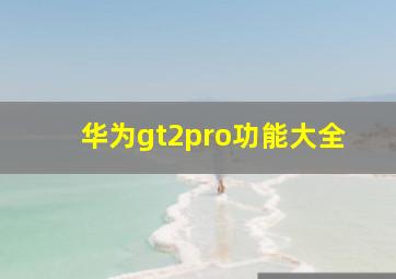 华为gt2pro功能大全