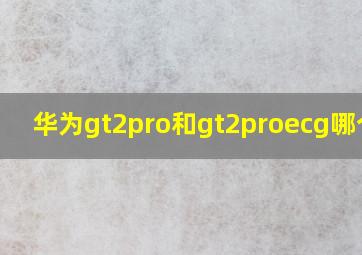 华为gt2pro和gt2proecg哪个好