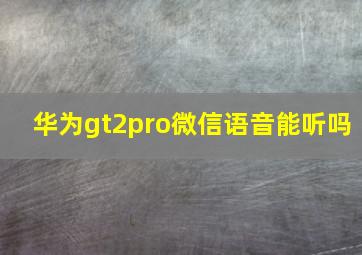 华为gt2pro微信语音能听吗