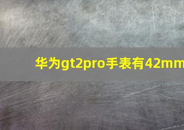 华为gt2pro手表有42mm