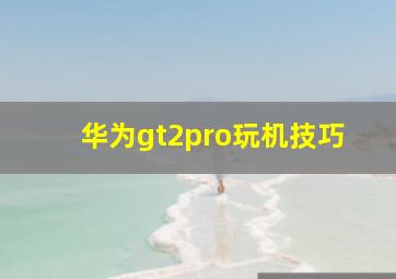 华为gt2pro玩机技巧