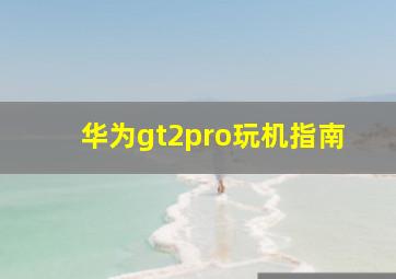 华为gt2pro玩机指南