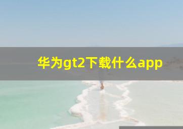 华为gt2下载什么app