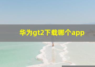 华为gt2下载哪个app