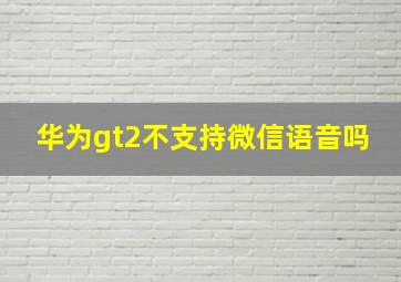 华为gt2不支持微信语音吗