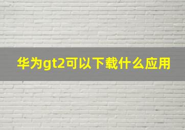 华为gt2可以下载什么应用