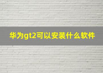 华为gt2可以安装什么软件