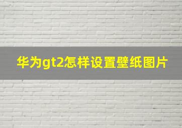 华为gt2怎样设置壁纸图片