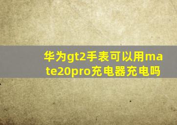 华为gt2手表可以用mate20pro充电器充电吗