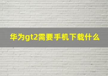 华为gt2需要手机下载什么