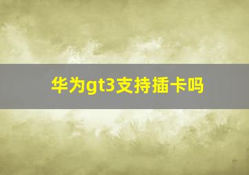 华为gt3支持插卡吗