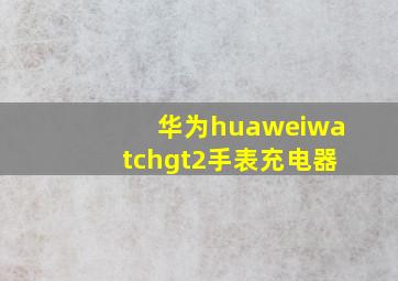 华为huaweiwatchgt2手表充电器