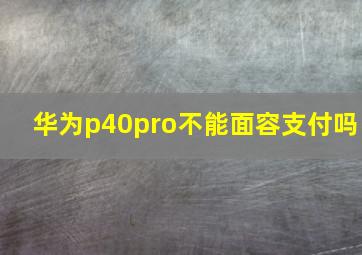 华为p40pro不能面容支付吗