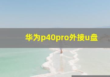 华为p40pro外接u盘