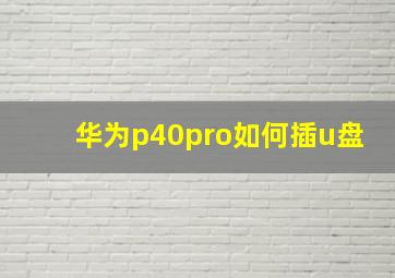 华为p40pro如何插u盘