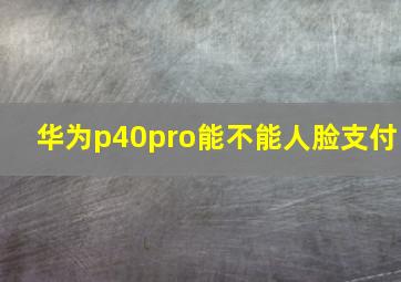 华为p40pro能不能人脸支付