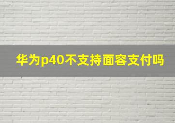 华为p40不支持面容支付吗