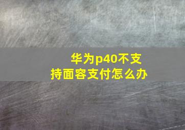 华为p40不支持面容支付怎么办