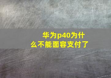 华为p40为什么不能面容支付了