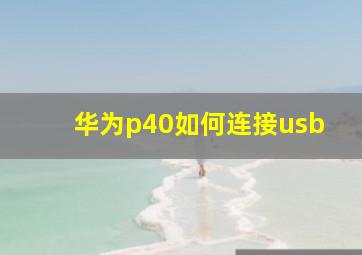 华为p40如何连接usb