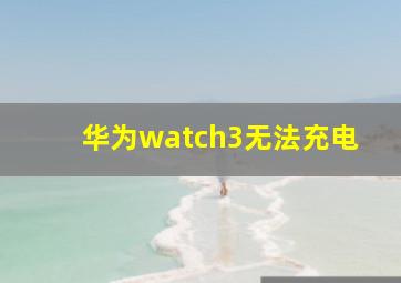 华为watch3无法充电