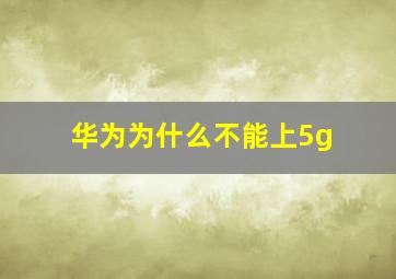 华为为什么不能上5g