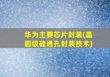 华为主要芯片封装(晶圆级硅通孔封装技术)