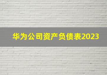 华为公司资产负债表2023