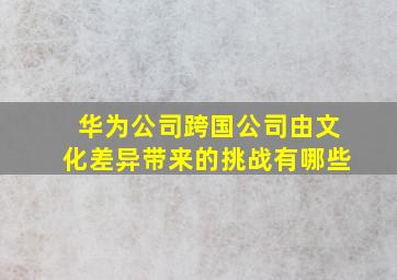 华为公司跨国公司由文化差异带来的挑战有哪些