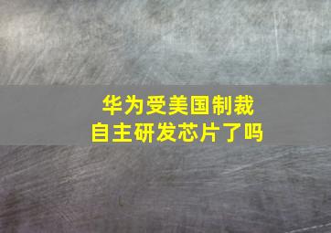 华为受美国制裁自主研发芯片了吗