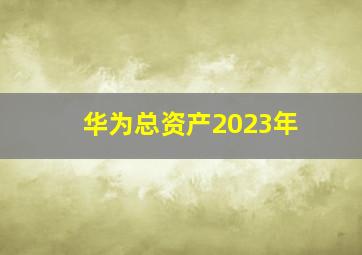 华为总资产2023年