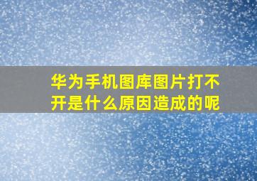 华为手机图库图片打不开是什么原因造成的呢