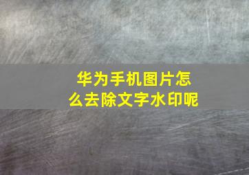 华为手机图片怎么去除文字水印呢