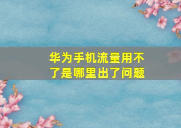 华为手机流量用不了是哪里出了问题