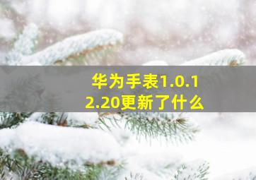 华为手表1.0.12.20更新了什么