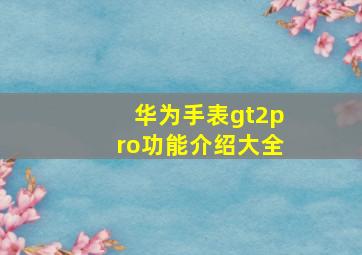 华为手表gt2pro功能介绍大全