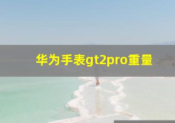 华为手表gt2pro重量