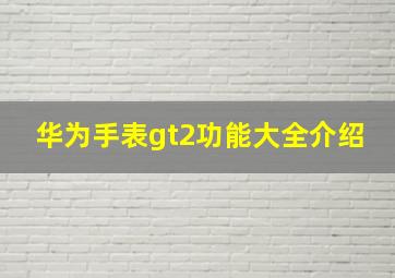 华为手表gt2功能大全介绍